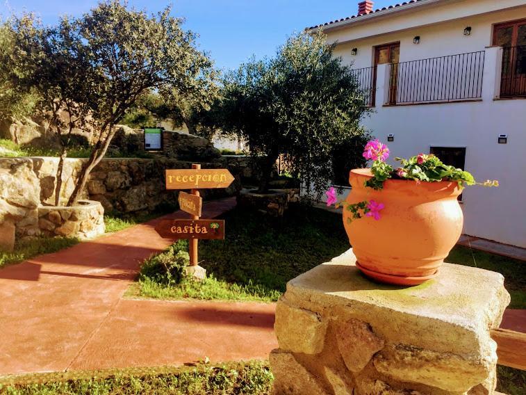 Villa Flores Amarillas Almoharin Exterior foto