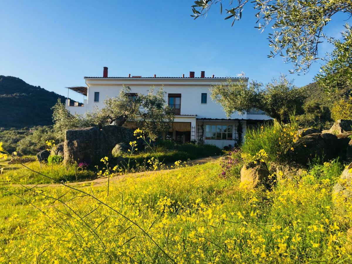 Villa Flores Amarillas Almoharin Exterior foto